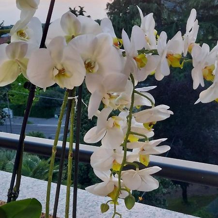 Alloggio Orchidea Monfalcone Εξωτερικό φωτογραφία