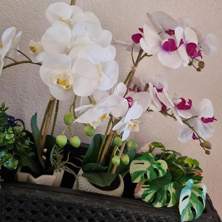 Alloggio Orchidea Monfalcone Εξωτερικό φωτογραφία