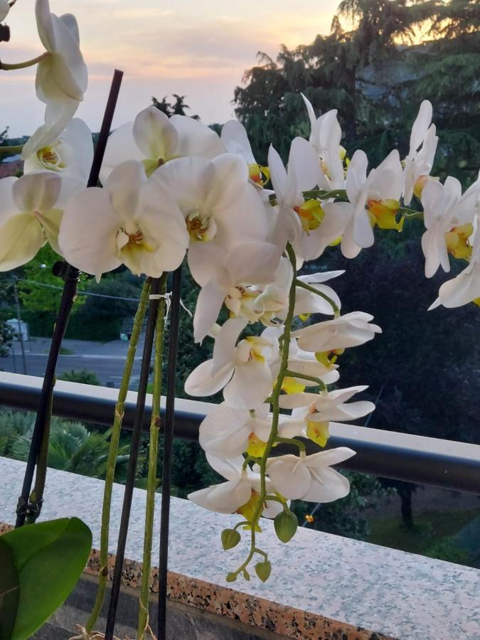 Alloggio Orchidea Monfalcone Εξωτερικό φωτογραφία